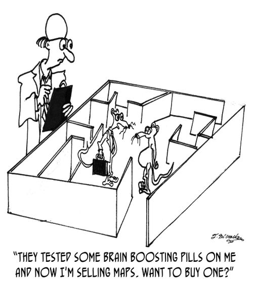 'They tested some brain boosting pills on me and now I'm selling maps. Want to buy one?'