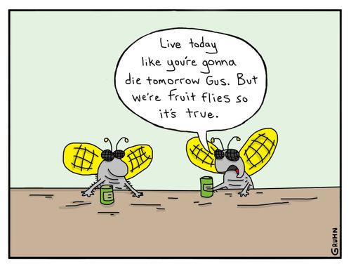 "Live today like you're gonna die tomorrow Gus. But we're fruit flies so it's true."