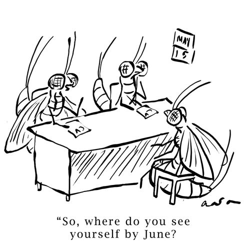 'So, where do you see youself by June?'