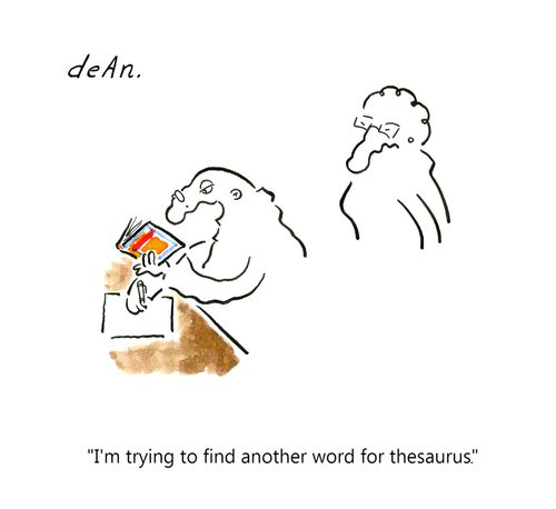 "I'm trying to find another word for thesaurus."