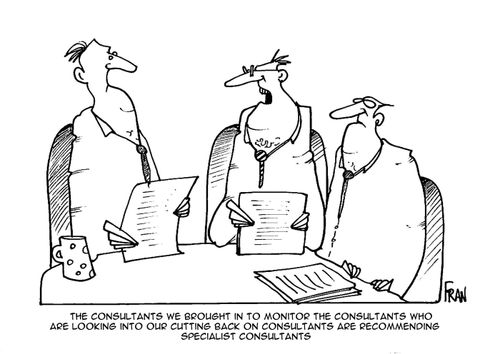 "The consultants we brought in to monitor the consultants who are looking into our cutting back on consultants are recommending specialist consultants."