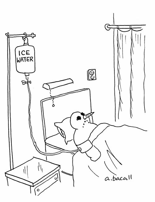 Snow man on an ice water drip.