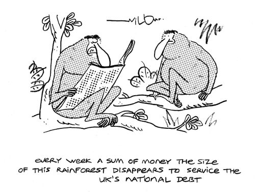 'Every week a sum of money the size of this rainforest disappears to service the UK's national debt.'