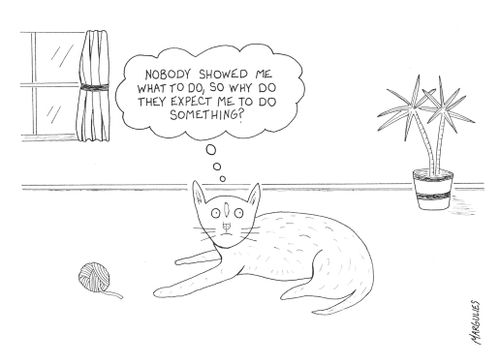 'Nobody showed me what to do, so why do they expect me to do something?'