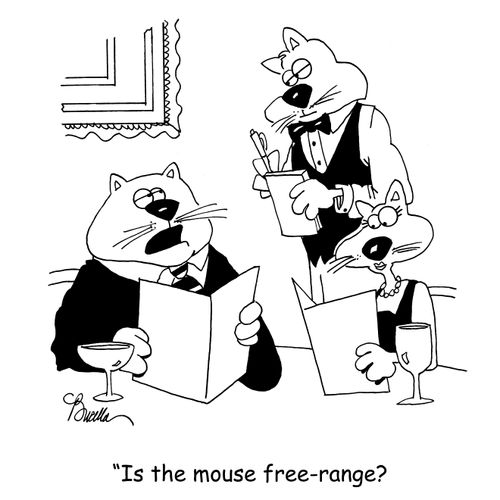 'Is the mouse free-range?'