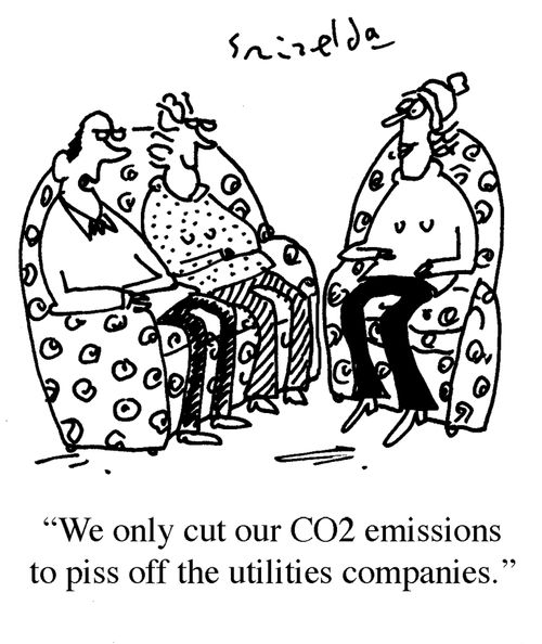 'We've only cut our CO2 emissions to piss off the utilities companies.'