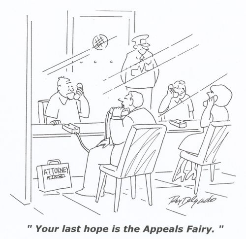 'Your last hope is on the Appeals Fairy.'