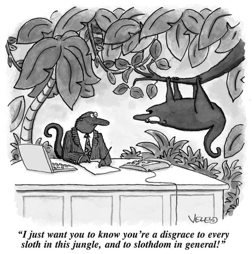 'I just want you to know that you're a disgrace to every sloth in this jungle and to slothdom in general!'