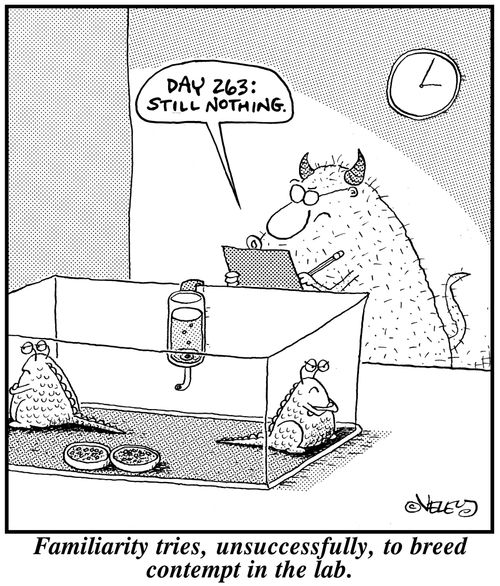 Familiarity tries, unsuccessfully, to breed contempt in the lab.