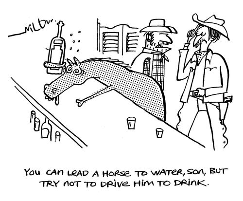 'You can lead a horse to water, son, but try not to drive him to drink.'