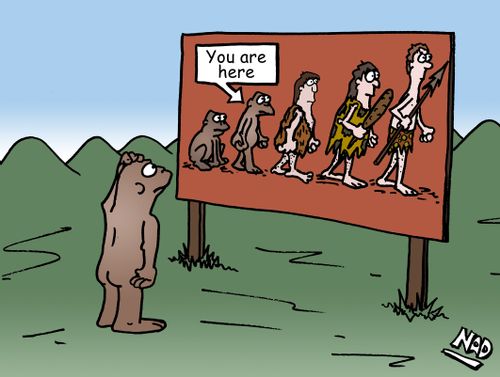 An ape is looking at a sign showing the evolution of man and it says 'You are here'.