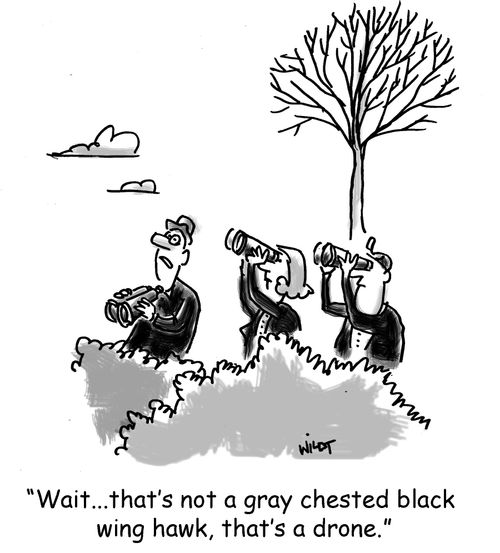 'Wait...that's not a gray chested black wing hawk, that's a drone.'