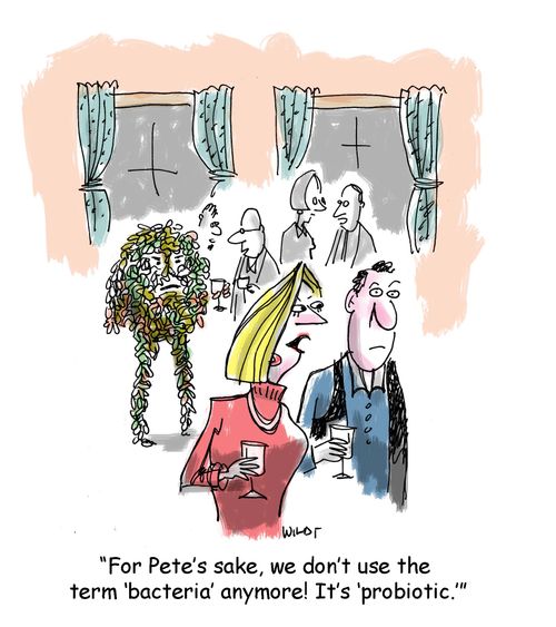 'For Pete's sake, we don't use the term 'bacteria' anymore! It's 'probiotic.''