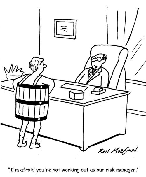 'I'm afraid you're not working out as our risk manager.'
