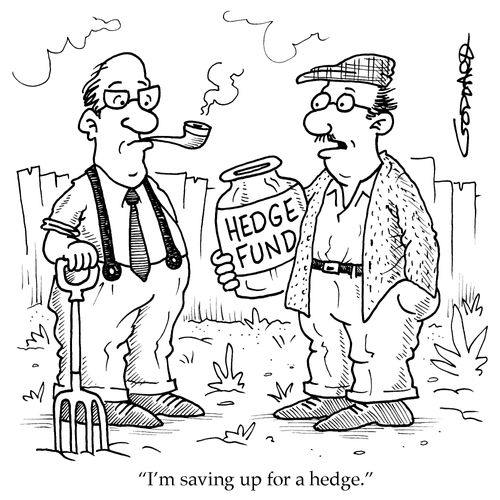 'I'm saving up for a hedge.'
