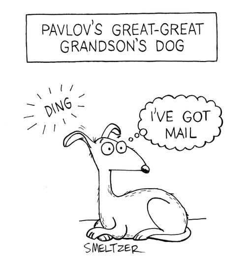 Pavlov's Great Great Grandson's Dog