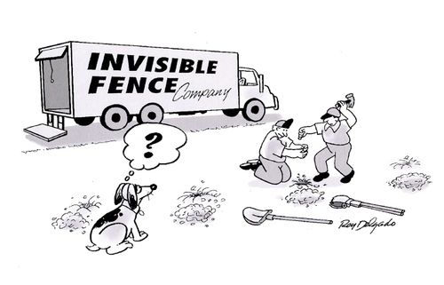 The Invisible Fence.