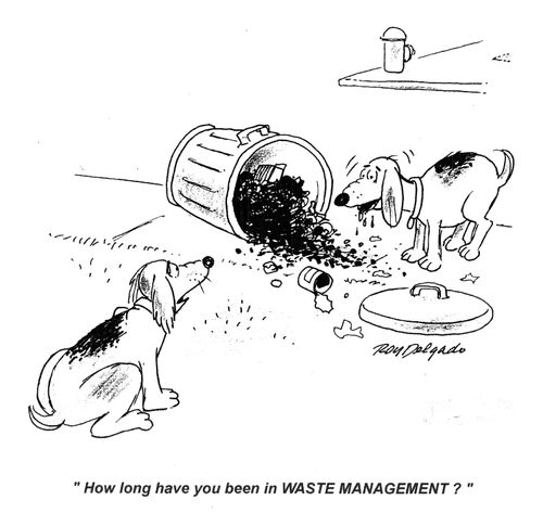 'How long have you been in Waste Management?'