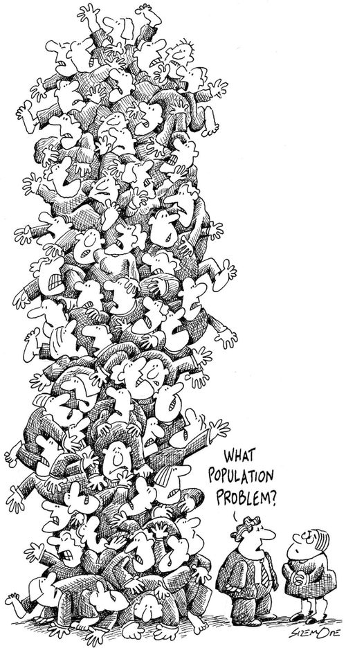 What Population Problem?
