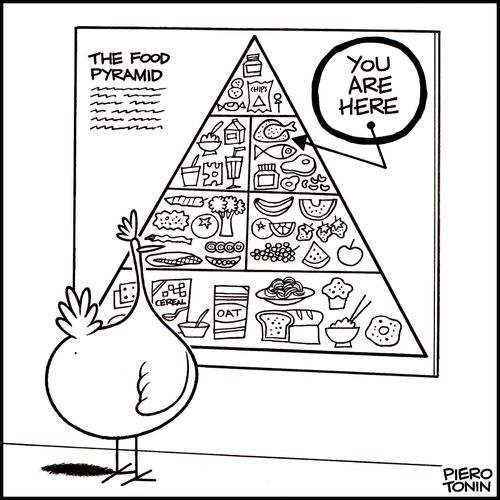 Chicken and the Food Pyramid,