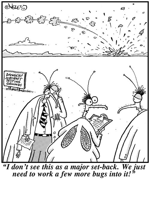 'I don't see this as a major set-back. We just need to work a few more bugs into it!'