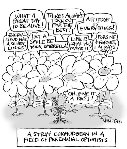 A Stray Curmudgeon in a Field of Perennial Optimists.