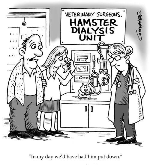 Hamster on dialysis machine 'In my day we'd have had him put down.'