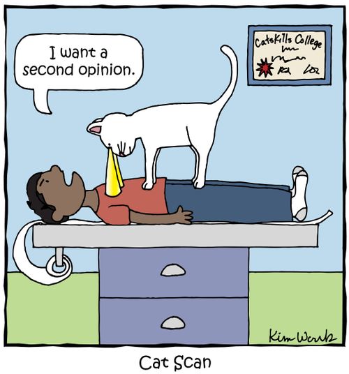 'I want a second opinion.'