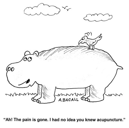 'Ah, the pain is gone. I had no idea you knew acupuncture.'