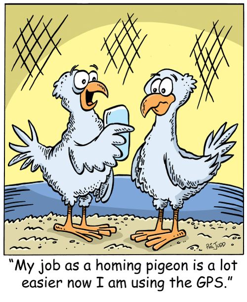 'My job as a carrier pigeon is a lot easier now I am using the GPS.'