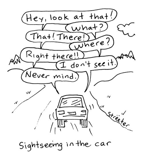 Sightseeing in the car