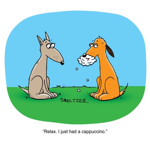 'Relax. It's from the cappuccino.'