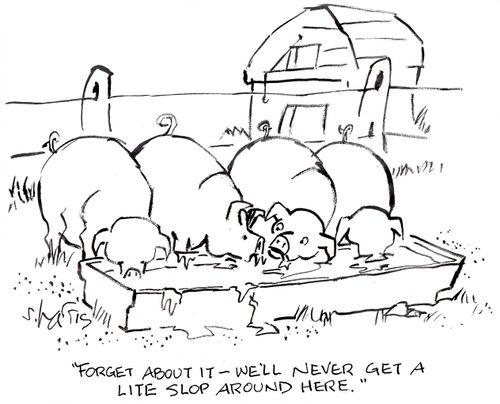 'Forget about it - we'll never get a lite slop around here.'