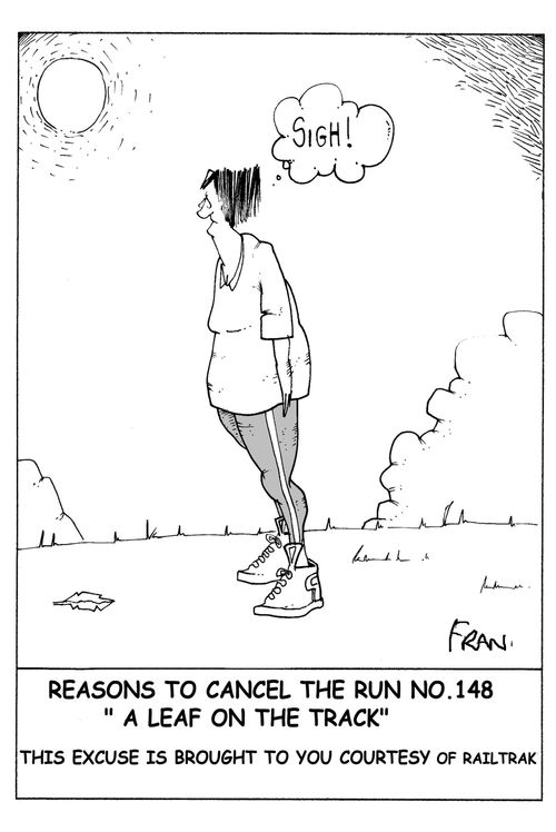 Reasons to cancel the run no 148: ' a leaf on the track.'