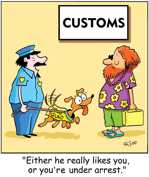 'Either he really likes you, or you're under arrest.'