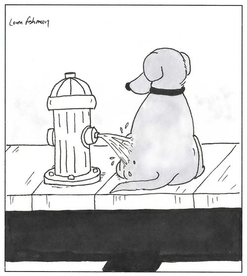 Fire hydrant peeing on a dog