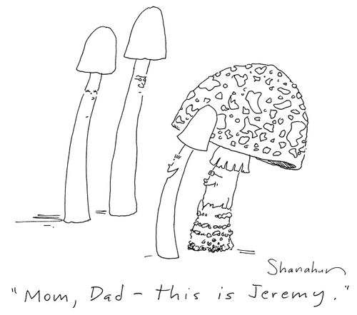 'Mom, Dad -  this is Jeremy.'