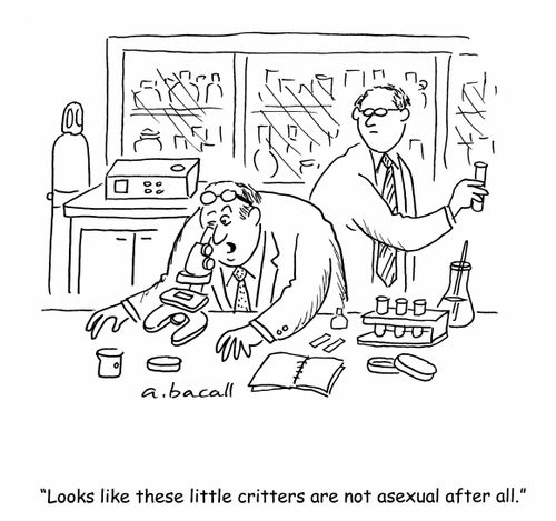 'Looks like these little critters are not asexual after all.'
