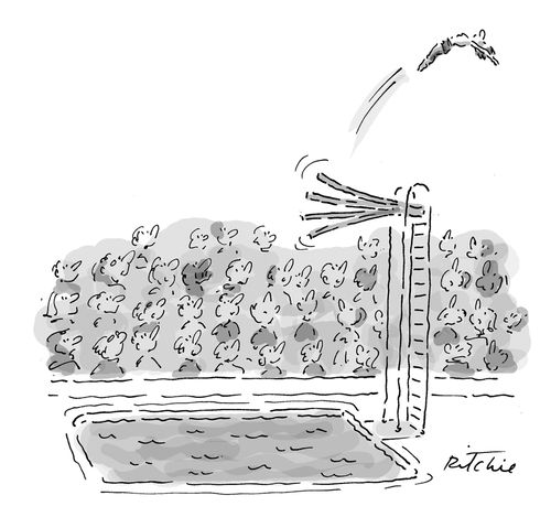Diver bouncing so high he flies out of the pool.