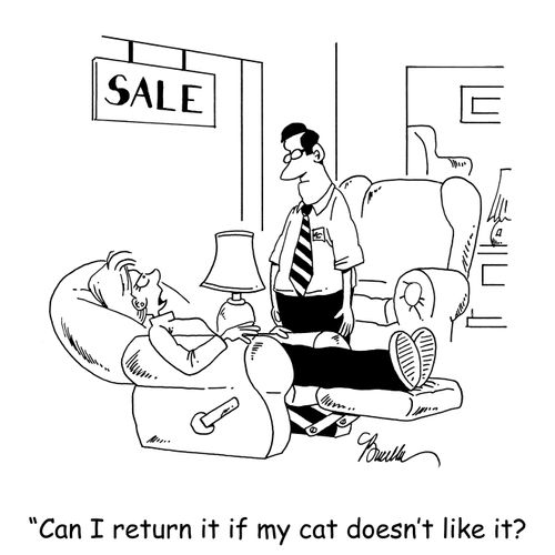 'Can I return it if my cat doesn't like it?'