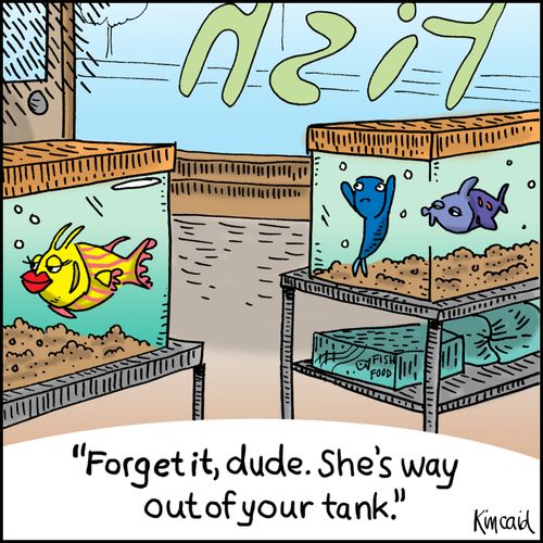 'Forget it dude. She's way out of your tank.' 