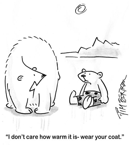 Global warming in the poles