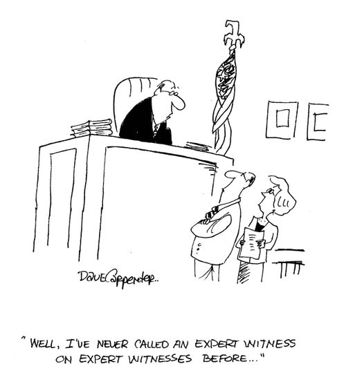 'Well, I've never called an expert witness on expert witnesses before...'