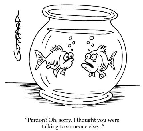"Pardon? Oh, sorry, I thought you were talking to someone else..."