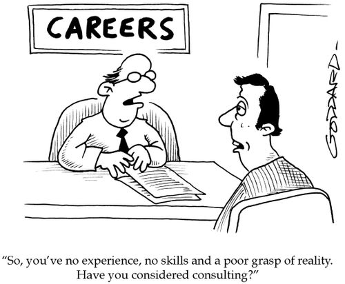 'So, you've no experience, no skills and a poor grasp of reality... Have you considered consulting?'