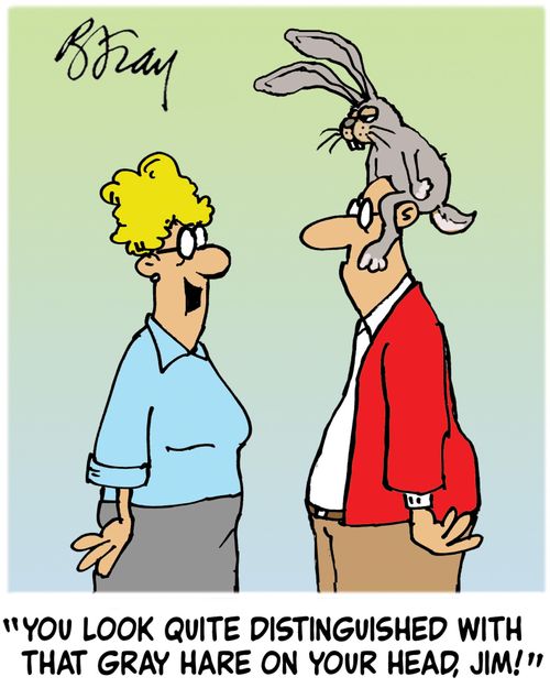 'You look quite distinguished with that gray hare on your head, Jim!'