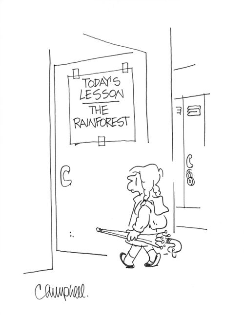 Today's lesson, the rainforest.
