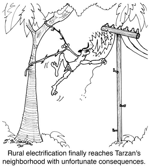 Rural electrification finally reaches Tarzan's neighborhood with unfortunate consequences.