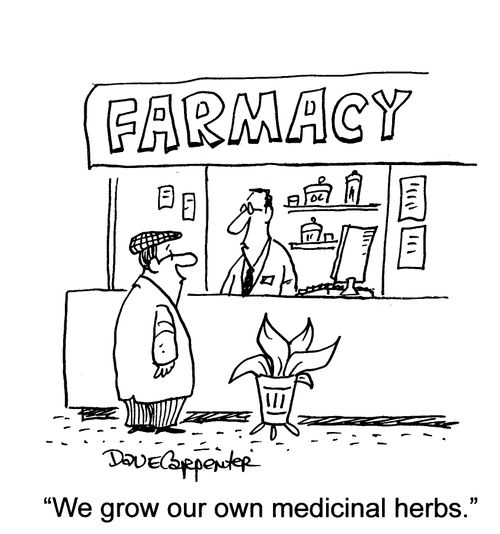 Farmacy.