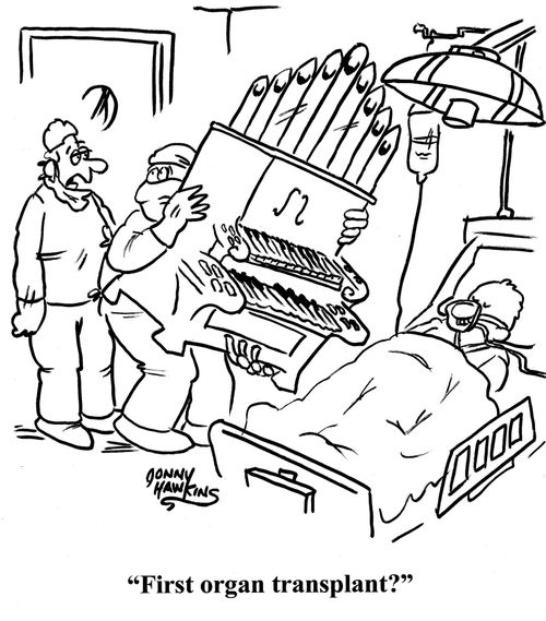 Surgeon to other: 'First organ transplant?'